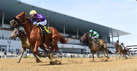 aqueduct racing schedule|aqueduct racetrack racing calendar.